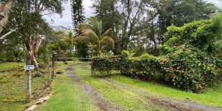 Private Hideaway on 1 Acre -Hawaiian Paradise Park Gallery 3