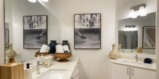 Accent Gallery 16
