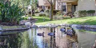 26701 Quail Creek Gallery 19