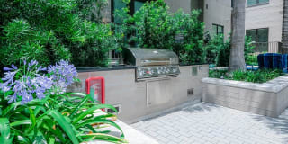 Canal 1535 Gallery 19