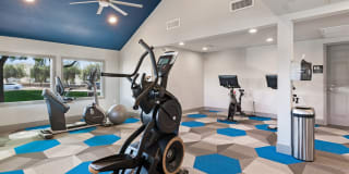 Avana Cordoba Gallery 23