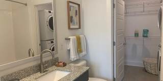 Montague at Park Circle Gallery 8