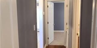 1010 Newport Parkway Gallery 17