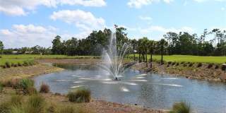 3940 Loblolly Bay Dr Gallery 1