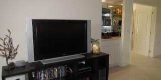 10537 Washingtonia Palm Way Gallery 6