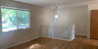 Mid-Town Single Family Home w/ Spacious Fenced Yard Gallery 3