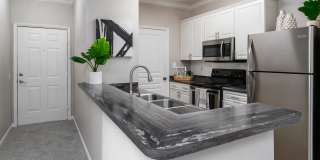 Elevate 155 Gallery 4