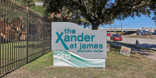 Xander at James Gallery 29