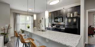 Stafford House Gallery 12