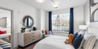 Cadence at Crown Apartments Gallery 9