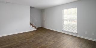 Hidden Colony Gallery 5