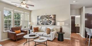 Springs at Laurens Road Springs at Laurens Road Gallery 5