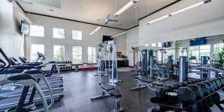 Callista Hill Country Apartments Gallery 3