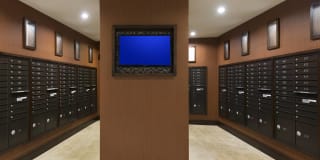 Domain College Park Gallery 30