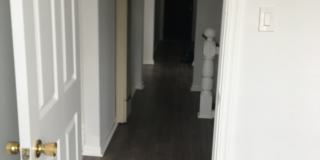 128 Duboce Avenue Gallery 18