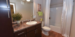 Springs at Orchard Road Gallery 19