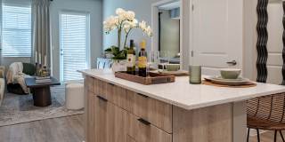 Encore Echo Gallery 11