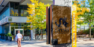 The Chestnut Gallery 35