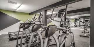 Radius at Ten Mile Gallery 4