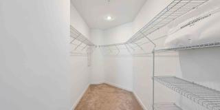 Ivory Lantana Gallery 45