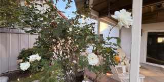 13381 Epping Gallery 23