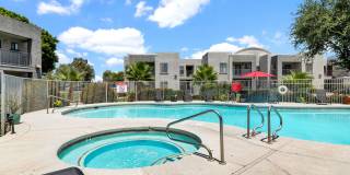 Esteban Park Gallery 21