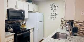 8815 MANOR LOOP Gallery 4