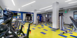 The Lex The Lex Gallery 28