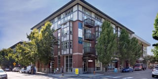 Savier Street Flats Gallery 43