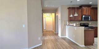 5646 SUNSET FALLS Drive Gallery 4