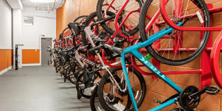 Arya Peachtree Gallery 23