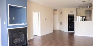 42480 ROCKROSE Square unit: 303 Gallery 5