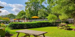 Parc at Denham Springs Gallery 15