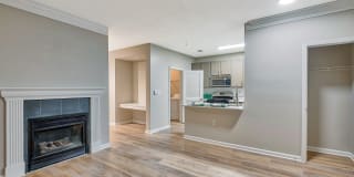 Windsor Herndon Gallery 19