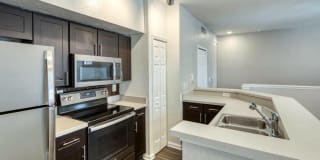 RiverTree Gallery 14