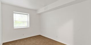 The Pines at SoBro Gallery 29