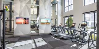 Alexan Junction Heights Gallery 23