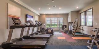 Element Oakwood Gallery 15