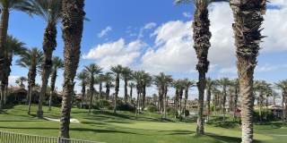 392 Desert Holly Drive Gallery 2