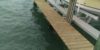 113 1ST STREET E Gallery 27