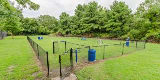 The Tides at Myrtle Beach Gallery 9