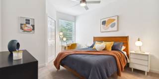 Douglas Grand at Telecom Parkway Gallery 20