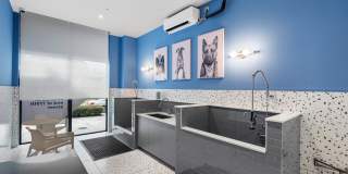 Arvella Gallery 127