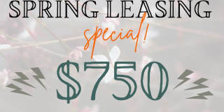 Lofts at Capricorn Lofts at Capricorn Gallery 29