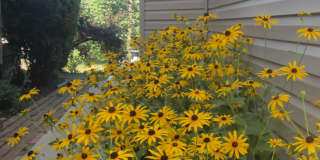 316 3rd St Ne Gallery 19