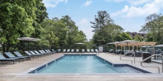 Avana Weymouth Gallery 16