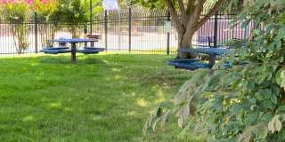 Pleasanton Laguna Vista 2 Bed / 1 bath, updated kitchen & bathroom, Two Year Lease required, Community Pool! Gallery 21