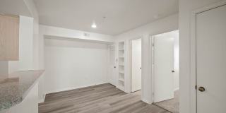 Forest View Gallery 6