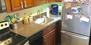 1355 N Sandburg Terrace Gallery 3
