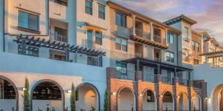 Vineyards Gallery 30